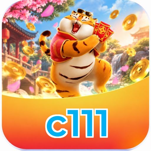 c111 Licenciado Curaçao - Segurança SSL 256-bit